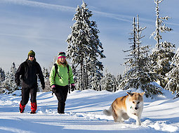 Winter in Bayern